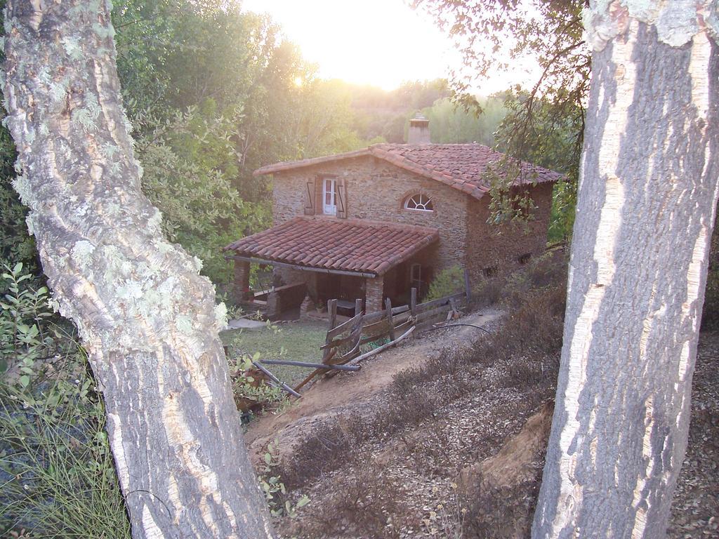 Гостевой дом Casas El Alamillo- El Castanero Галароса Экстерьер фото